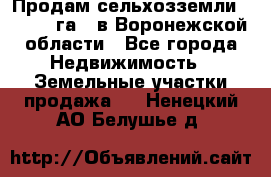 Продам сельхозземли ( 6 000 га ) в Воронежской области - Все города Недвижимость » Земельные участки продажа   . Ненецкий АО,Белушье д.